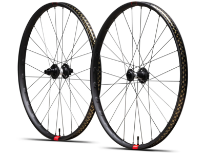 e*thirteen LG1 Plus Downhill Wheels - Reviews, Comparisons, Specs